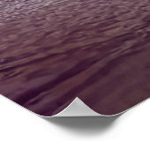 Poster Pélicans dans la baie (Coin)