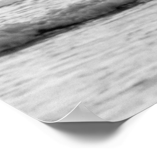 Poster Pélicans en vol (Coin)