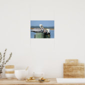Poster Pélicans reposant sur une compresse (Cuisine)