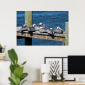 Poster Pélicans reposant sur une jetée (Bureau à domicile)