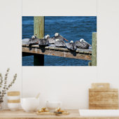 Poster Pélicans reposant sur une jetée (Cuisine)