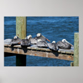 Poster Pélicans reposant sur une jetée (Devant)
