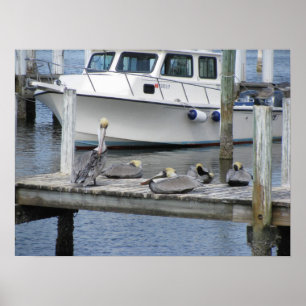 Poster Pélicans sur le dock