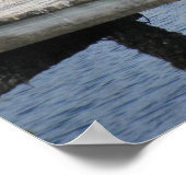 Poster Pélicans sur le quai (Coin)