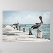 Poster Pélicans sur une jetée (Devant)