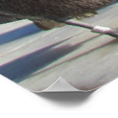 Poster - Pelikanen op de pier (Hoek)