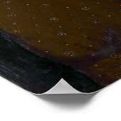 Poster Pelosi et Schumer gothique américain (Coin)