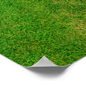 Poster Pelouse (Coin)