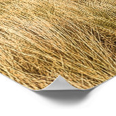 Poster Pelouse verte sous ciel bleu (Coin)