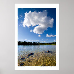 Poster Pelucheux