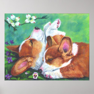 Poster Pembroke Welsh Corgi IMPRIMER