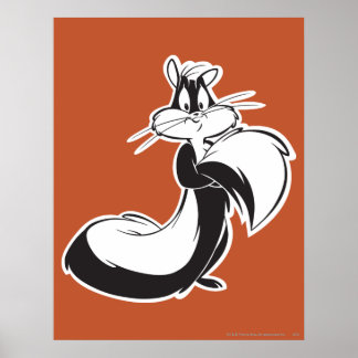 Poster Pénélope Capture