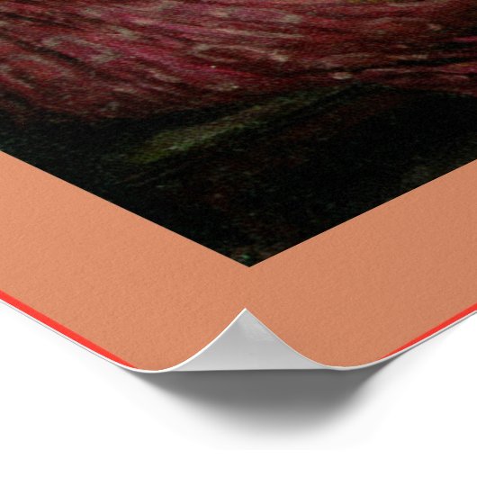 Poster Penelope et les prétendants (Coin)