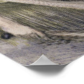 Poster Penelope tissant un linceul pour Laertes son père- (Coin)