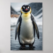 Poster Penguin 2 (Devant)
