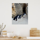 Poster Penguin Beach House, (Cuisine)