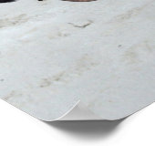 Poster Penguin Beach House, (Coin)