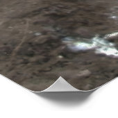 Poster Penguin Closeup (Coin)