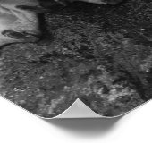 Poster Penguin Colour Splash (Coin)