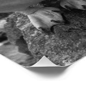 Poster Penguin Colour Splash (Coin)