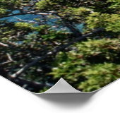 Poster Péninsule d'Akamas (Coin)