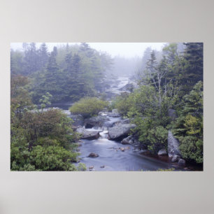 Poster Pennant Brook au début du mois de juin