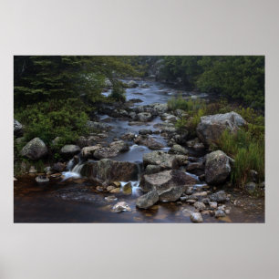 Poster Pennant Brook III