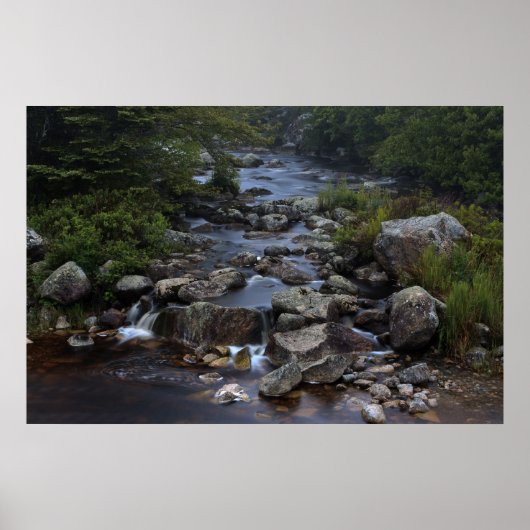 Poster Pennant Brook III (Devant)