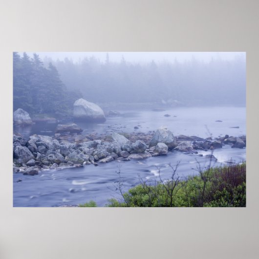 Poster Pennant Fog (Devant)