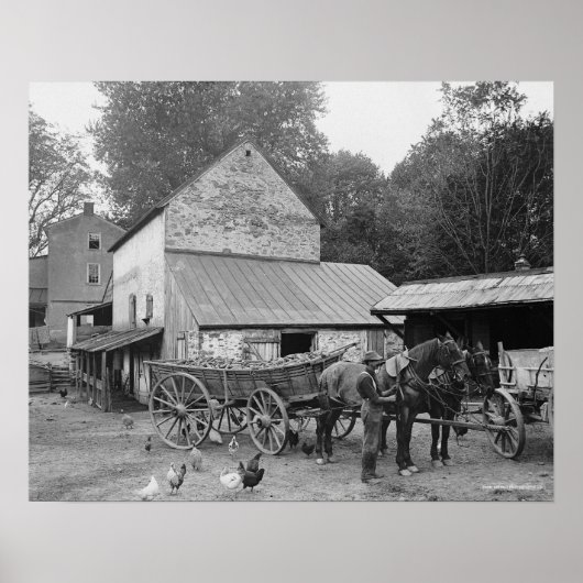 Poster Pennsylvania Farm, 1906. Photo vintage (Devant)