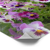 Poster Pennsylvania Flowers Print (Coin)