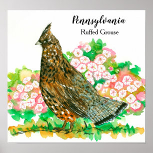 Poster Pennsylvanie Ruffed Grouse Mountain Laurel