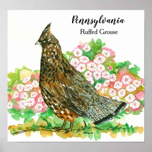 Poster Pennsylvanie Ruffed Grouse Mountain Laurel (Devant)