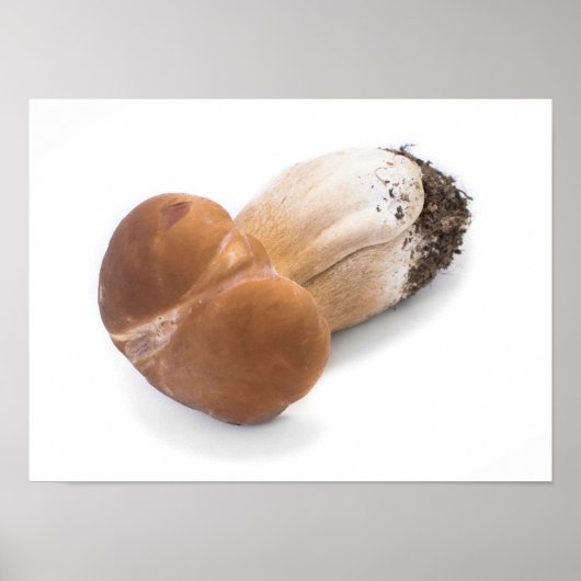 Poster Penny bun (Devant)