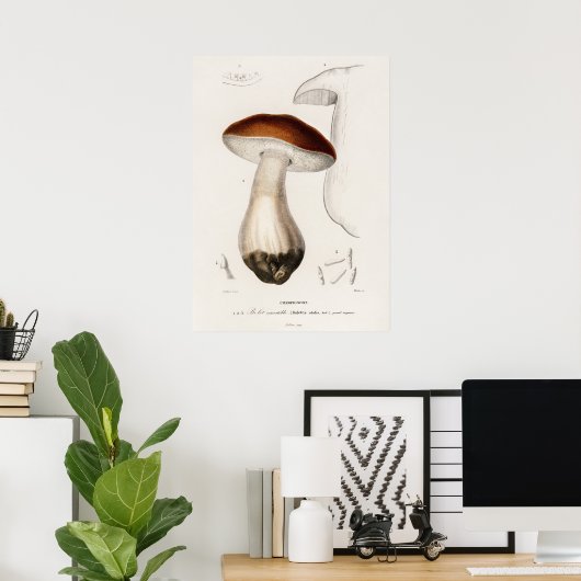 Poster Penny bun (Boletus edulis) (Bureau à domicile)