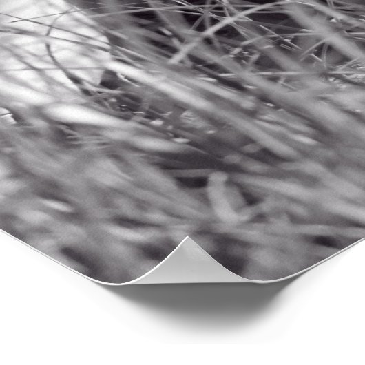 Poster Pensée (Coin)