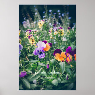 Poster Pensées colorées dans un jardin de campagne en été