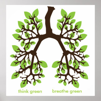 Poster pensez vert, respirez vert