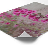 Poster Penstériles roses (Coin)