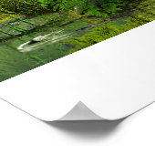 Poster Pentaceratops du Nouveau-Mexique (Coin)