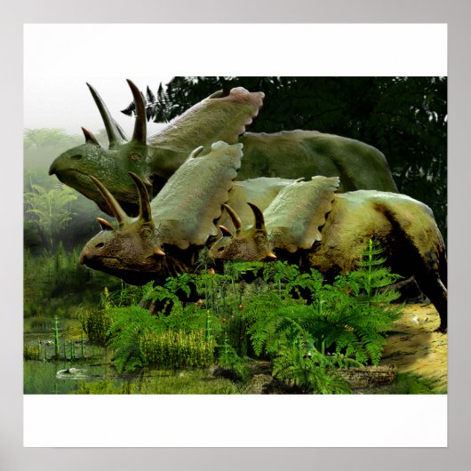 Poster Pentaceratops du Nouveau-Mexique (Devant)