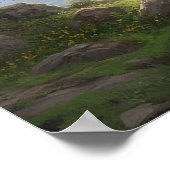 Poster Pente de peinture à l'huile chemin sinueux sommet (Coin)