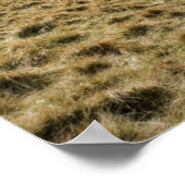 Poster Pentland Hills, Édimbourg (Coin)