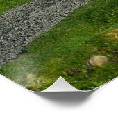 Poster Penyghent vu du sentier qui monte (Coin)