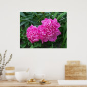 Poster Peonies (Cuisine)