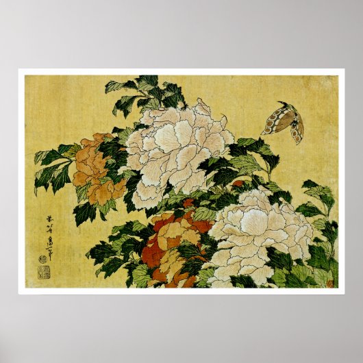 Poster Peonies et papillon (Devant)