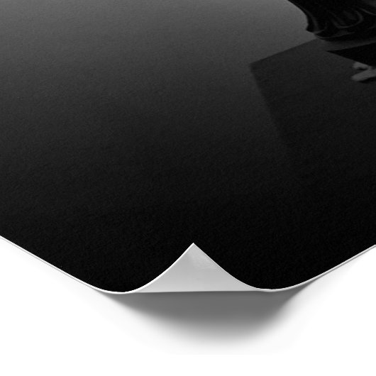 Poster Peonies - noir, (Coin)