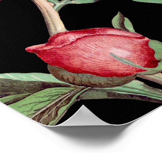 Poster Peonies roses Fleurs Mariage Black Seating Chart (Coin)