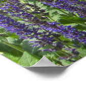 Poster Peonies rouges et fleurs violettes Photographie (Coin)