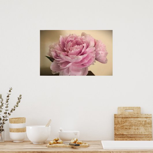 Poster Peony, (Cuisine)